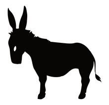 View Of Black Donkey's Silhouette Over White Background, Vector Illustration