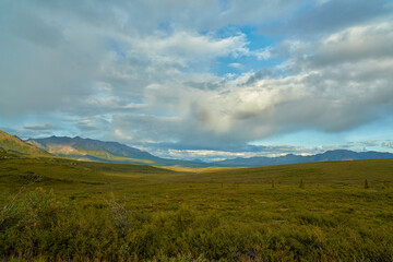 Wall Mural - Denali National Park