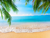 Fototapeta Morze - tropical beach with coconut palm