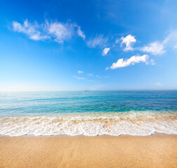 Wall Mural - sandy beach and beautiful tropical sea