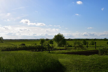 Sticker - Garden in a Field