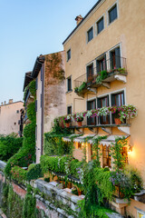 Wall Mural - Balconies of old house decorated with plants, Verona, Italy