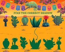 Find Correct Shadow Of Mexican Cactus Succulent In Desert, Vector Kids Game Worksheet. Find Similar Same Silhouette Riddle Or Puzzle Game With Mexican Cactus Plants Agave Or Opuntia And Chameleon