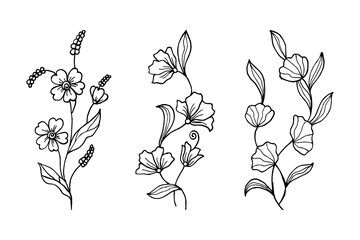 Wall Mural - Hand drawn vector design floral elements. Vector illustration.