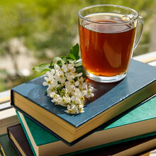 Branches Of Blooming Bird Cherry Tree And A Glass Cup With Black Or Herbal Tea On A Stack Of Books By The Window. Close Up. Morning Still Life. Sunny Day Square Format. Copy Space