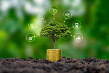 A Tree Growing On A Pile Of Coins And A Green Background Is A Concept Of Financial System Development And Economic Growth.