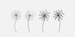 Hand drawn set of black dandelion, dandelion with flying seeds in cute doodle style. Vector illustration for fabric, card design, print, stamp or baby clothings.