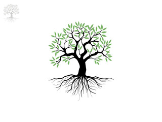 Canvas Print - Trees and root with green leaves look beautiful and refreshing. Tree and roots LOGO style.