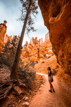 A Young Woman Started The Trail From Below The Navajo Loop Trail In Bryce National Park, Utah. United States