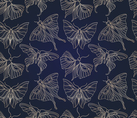 Wall Mural - Art nouveau style butterfly pattern basic element. 1920-1930 years vintage design. Symbol motif design.