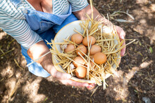 Mature Farmer With Bowl Of Chicken Eggs At Poultry Farm