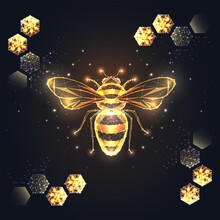Gold Honey Bee And Of Lines, Dots, Circles And Polygons Decorated By Honeycombs On Black Background.