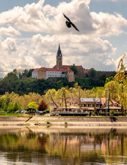 Wall Mural - Ilok castle above the Danube river on the Croatian Serbian border in Croatia