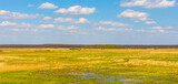 Fototapeta  - Panoramic view of Narew river grassy wetlands and bird wildlife reserve during spring nesting period in Zajki village near Wizna in Podlaskie region of Poland