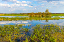Panoramic View Of Biebrza River Wetlands And Bird Wildlife Reserve During Spring Nesting Period In Burzyn Village In Podlaskie Region Of Poland