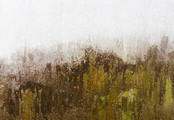 Wall Mural - cement wall background abstract old concrete texture