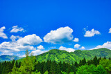 Fototapeta Do pokoju - 晴れた日の新緑に染まった山々