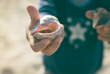 Young Boy Holding A Sea Shell On The Beach Sand Travel And Tourism Concept 