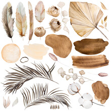 Watercolor Bohemian Elements - Dried Leaves, Feathers, Pampas Grass And Tropical Flowers