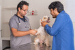 © ADDICTIVE STOCK - Man petting dog during veterinary appointment