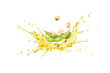 Soybean oil splash with soy bean isolated on white background.