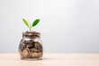 Leinwandbild Motiv Money coins in glass jar and green plant with copy space on table. Investment and interest concept