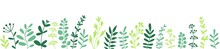 Herbs, Twigs And Leaves. Herbal Border, Horizontal Bottom Edging. Vector Design Element, Flat Illustration On White.
