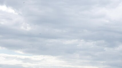 Wall Mural - 4k stock video footage of small silhouettes of military plane and many black birds flying overhead i