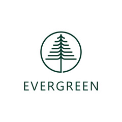 pine evergreen fir hemlock spruce conifer cedar coniferous cypress larch pinus tree Logo design 