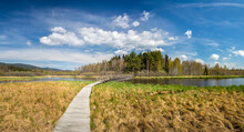 Landscape With A Wooden Walkway And Bridge Over The Olsina Pond, Czech Republic