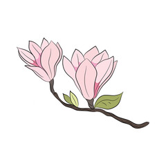 Wall Mural - Magnolia buds on a branch. Pink magnolia flowers decor for invitations and cards