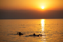 People Floating In The Dead Sea At Sunset, Jordan