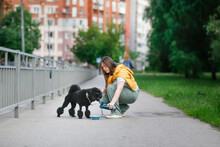 Cute European Girl On Walk Gives Her Dog Water From Bottle And Bowl, Taking Care Of Pet. Woman And Black Poodle, Dog Drinking Water From A Bowl While Walking In Summer