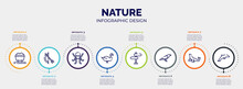 Infographic For Nature Concept. Vector Infographic Template With Icons And 8 Option Or Steps. Included Wagon, Bow And Arrow, Octopus, Swan, Direction, Crow, Sea Lion, Dolphin Editable Vector.