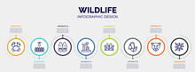 Infographic For Wildlife Concept. Vector Infographic Template With Icons And 8 Option Or Steps. Included Crab, Swing, Waistcoat, Relics, Butterflies, Harebell, Jaguar, Cobweb Editable Vector.