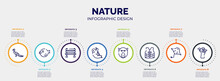 Infographic For Nature Concept. Vector Infographic Template With Icons And 8 Option Or Steps. Included Peacock, Puffer Fish, Bench, Sloth, Baboon, Vest, Manta Ray, Baobab Editable Vector.