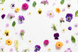 Spring and summer flower composition pattern on white background. Border frame, copy space. Festive flower concept with garden pansy, camomile, colorful buds, branches and leaves. Flat lay, top view.