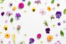 Spring And Summer Flower Composition Pattern On White Background. Border Frame, Copy Space. Festive Flower Concept With Garden Pansy, Camomile, Colorful Buds, Branches And Leaves. Flat Lay, Top View.