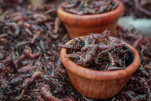 Dried Mexican Typical Edible Crickets