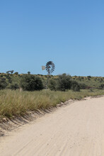 Wind Pump And Dirt Road In The Kgalagadi, South Africa