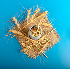 Wall Mural - Wheat grains and wheat ears on a blue background. Top view