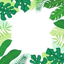 Summer Frame Made Of Tropical Leaves. Background Of Tropical Palm Leaves, Monsters Isolated On A White Background. Illustration For The Design Of Wedding Invitations, Greeting Cards, Postcards.