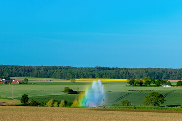 Wall Mural - Irrigation system in function watering agricultural plants