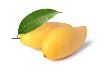 Ripe yellow mango with green leaves isolated on white background.