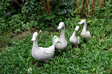Stucco Sculpture Of A Duck Walking In The Garden Is Used To Decorate The Garden.
