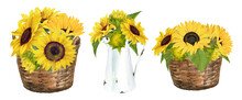 Watercolor Rustic Farmhouse Sunflower Bouquet, Summer Floral Set On White Background