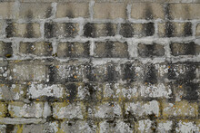 Old Gray Cinder Block Wall Cement Background