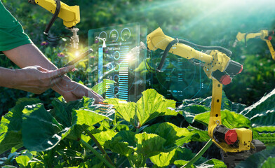 AI. Farmer use smartphone and robotics assistant. Pollinate of fruits and vegetables. Detection spray chemical. Leaf analysis and foliar fertilization. Science. Agriculture farming technology concept.