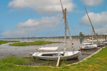 Wall Mural - Traditional egyptian felluca boats moored on Nile bank