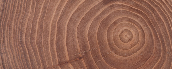 Wall Mural - texture of brown wooden background with annual rings